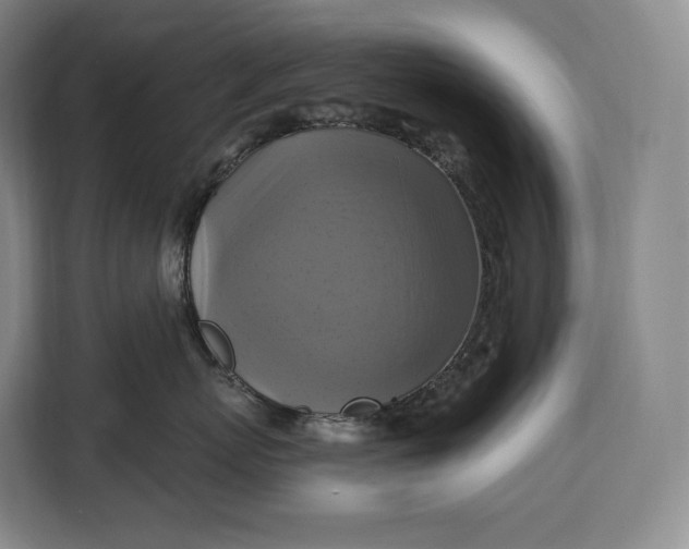 X0000113050767200909171541