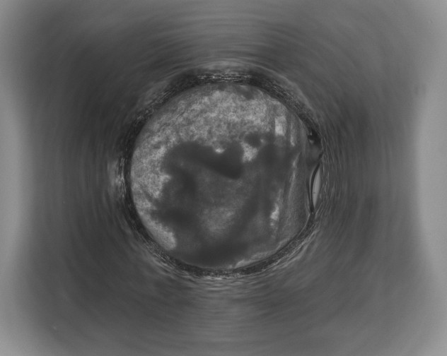 X0000113050771200909171540