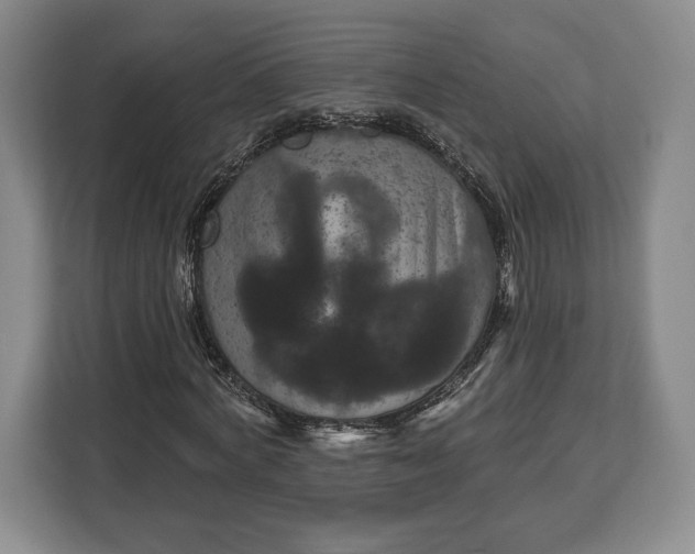 X0000113050772200909171540