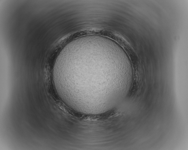 X0000113050773200909171540