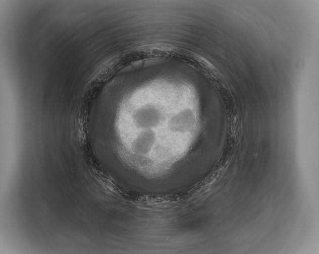 X0000113050774200909171540