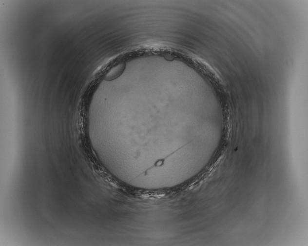 X0000113050776200909171540