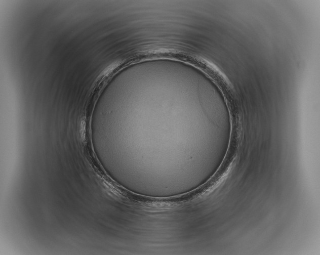 X0000113050777200909171540