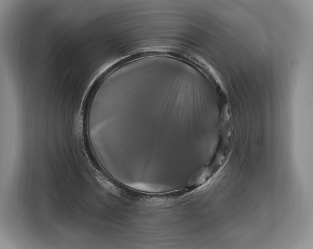 X0000113050779200909171540