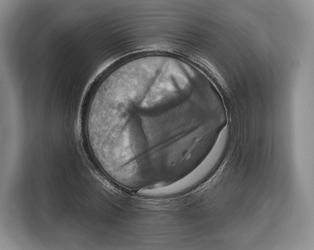 X0000113050780200909171540