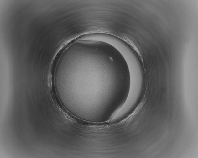 X0000113050781200909171540