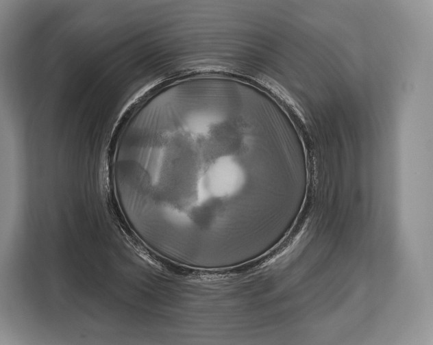 X0000113050782200909171540