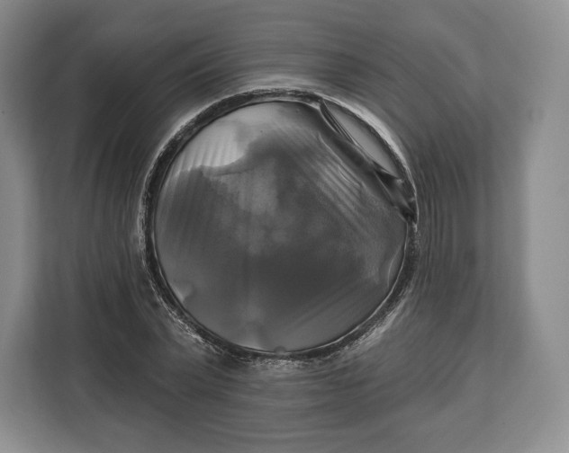 X0000113050783200909171540