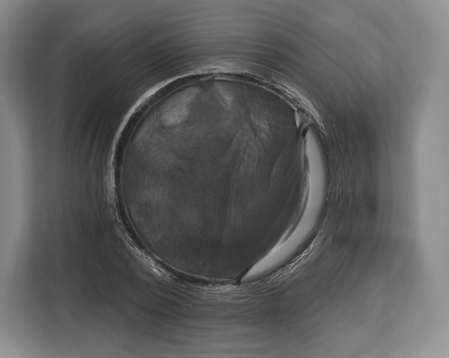 X0000113050784200909171540