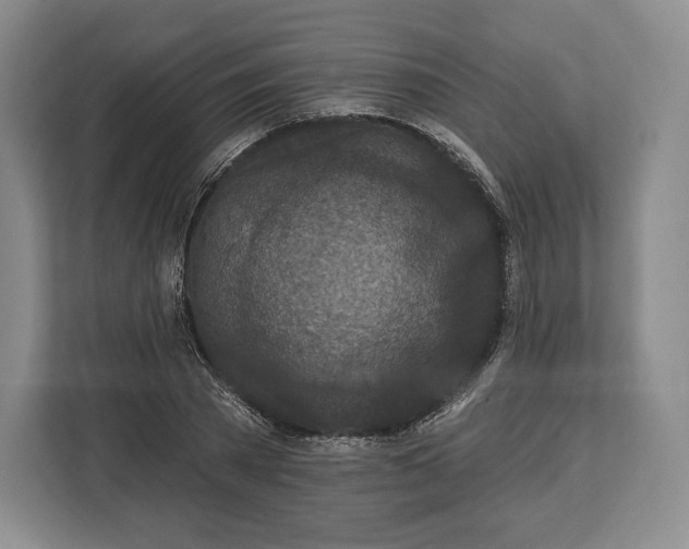 X0000113050785200909171540