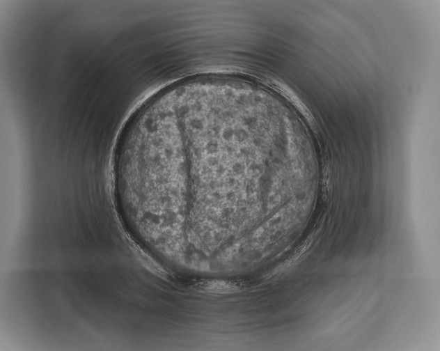 X0000113050787200909171540