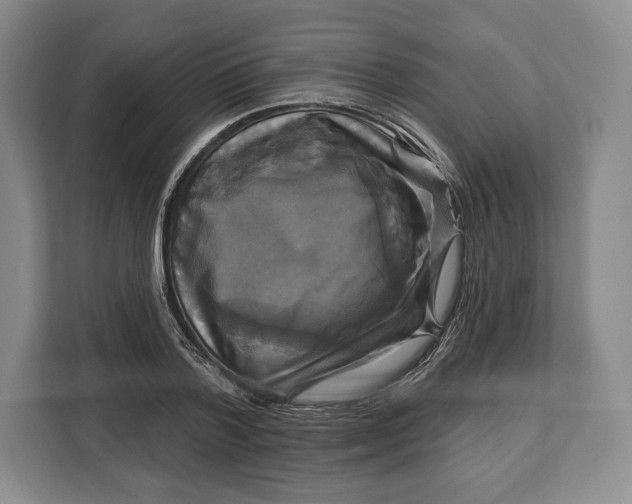 X0000113050788200909171540