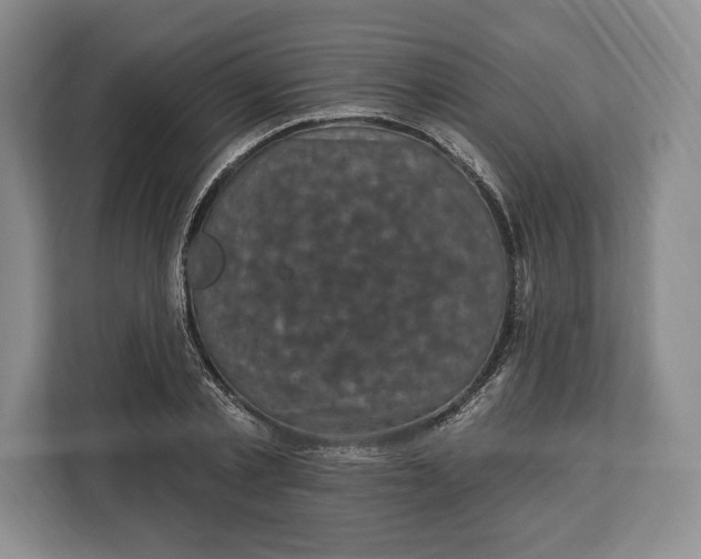 X0000113050789200909171540