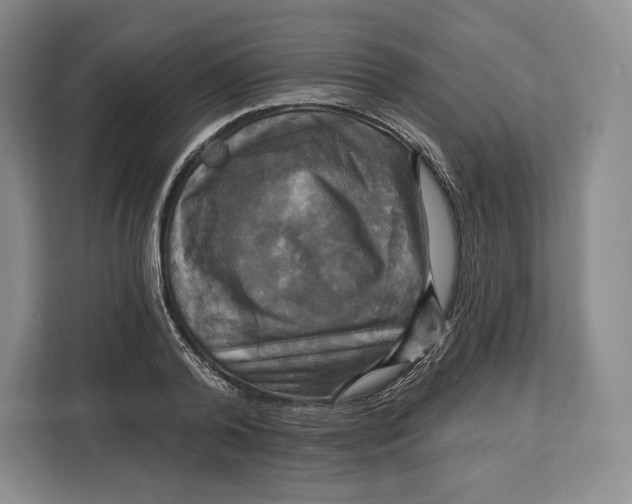 X0000113050792200909171540