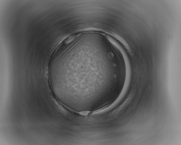 X0000113050793200909171540