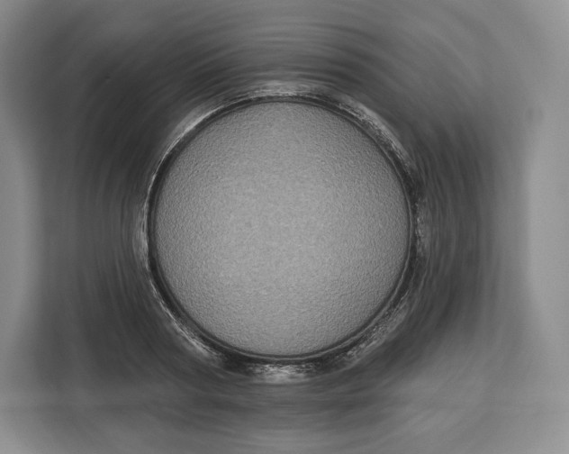 X0000113050794200909171540