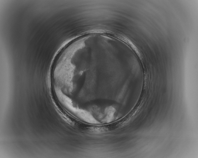 X0000113050795200909171540