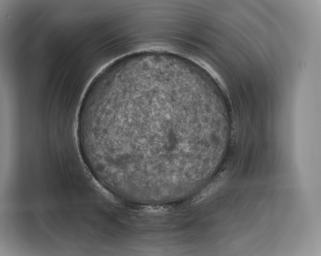 X0000113050799200909171540