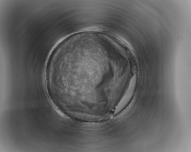 X0000113050800200909171540