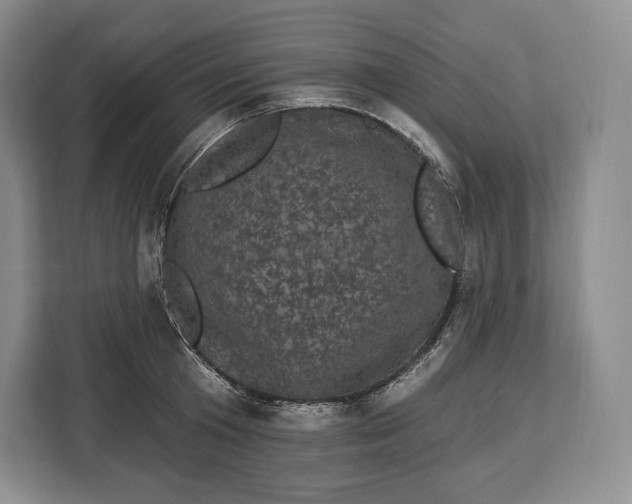 X0000113050801200909171540