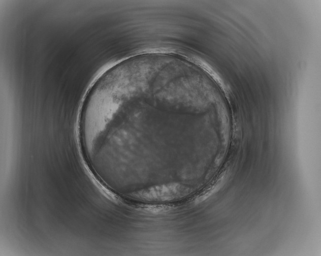 X0000113050803200909171540