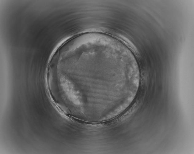 X0000113050804200909171540