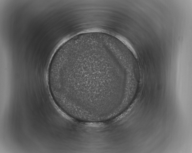 X0000113050805200909171540