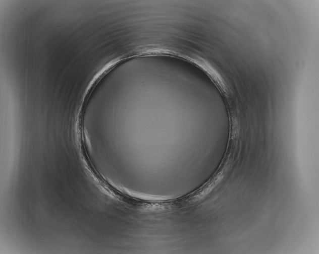 X0000113050806200909171540