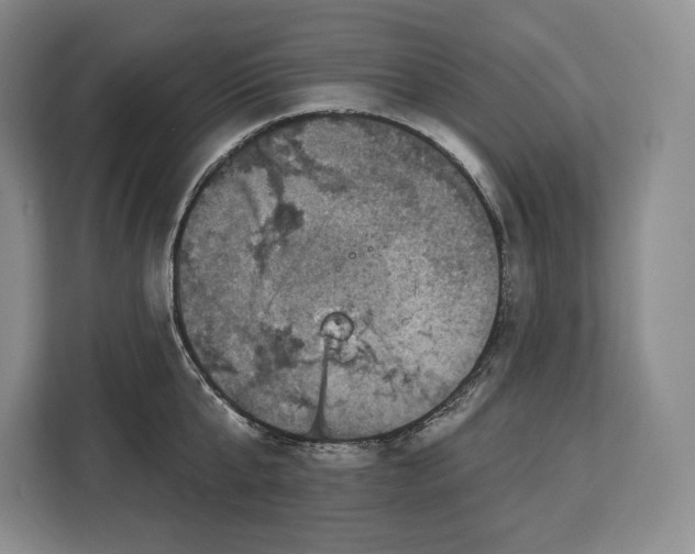 X0000113050807200909171540