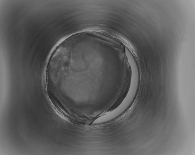 X0000113050808200909171540