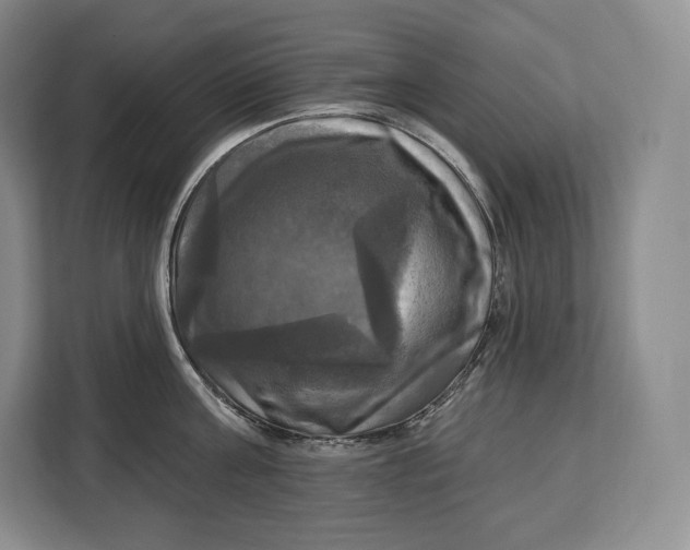 X0000113050811200909171540