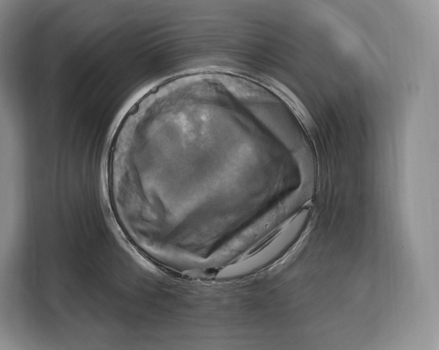 X0000113050812200909171540