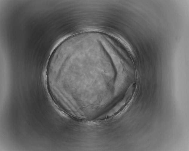 X0000113050814200909171540