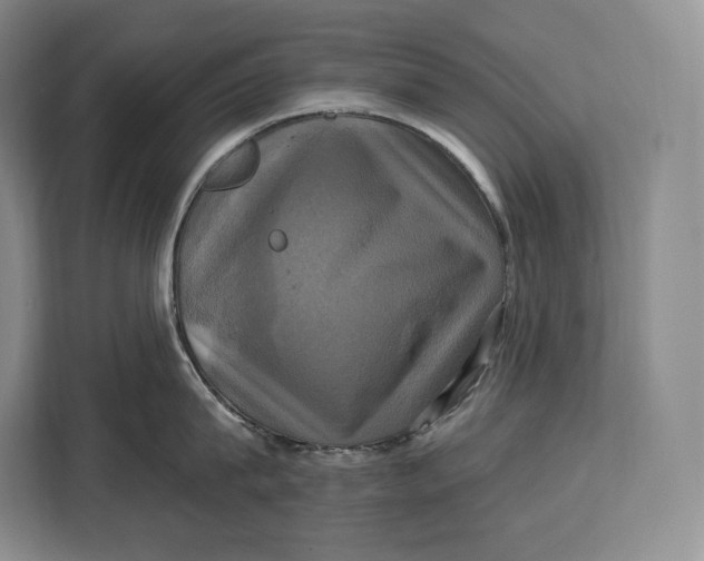 X0000113050815200909171540