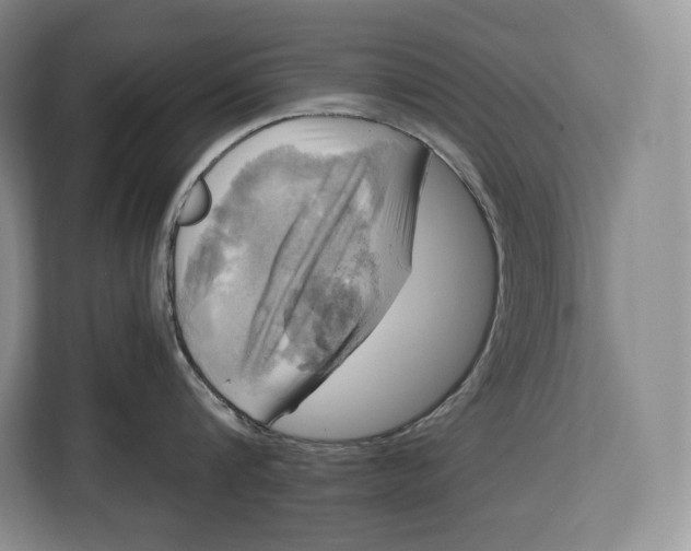 X0000113050816200909171540