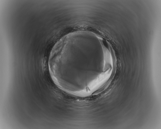 X0000113050818200909171539