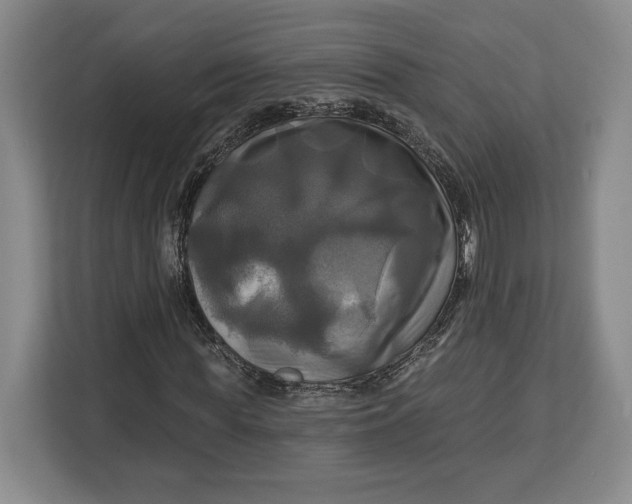 X0000113050819200909171539