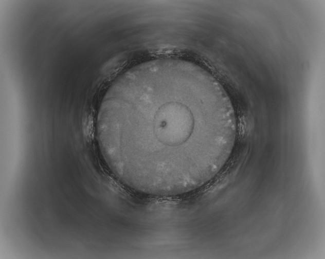 X0000113050820200909171539