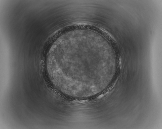 X0000113050821200909171539