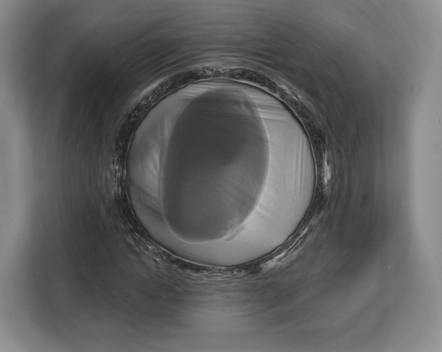 X0000113050822200909171539