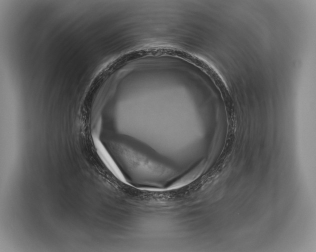 X0000113050823200909171539