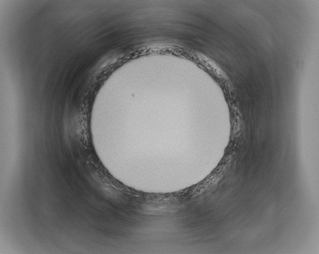 X0000113050824200909171539