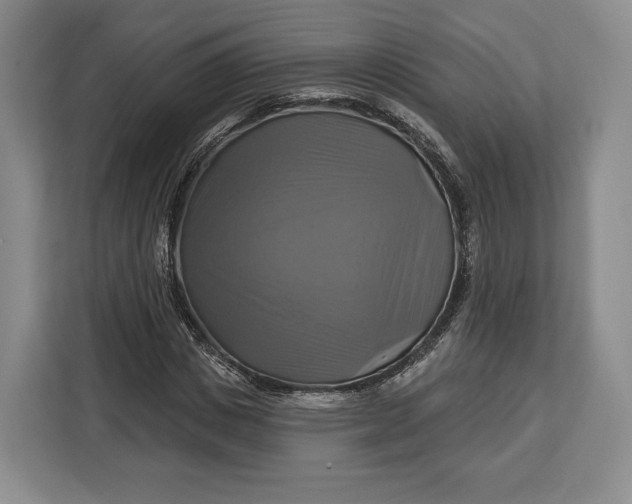 X0000113050825200909171539