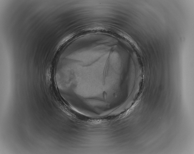 X0000113050826200909171539