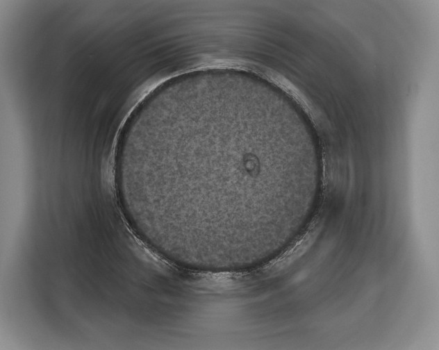 X0000113050828200909171539