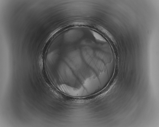 X0000113050829200909171539