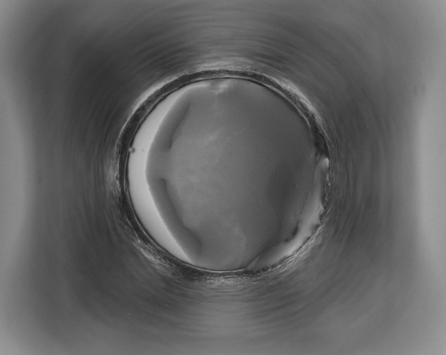 X0000113050830200909171539