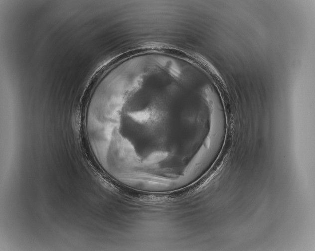 X0000113050831200909171539