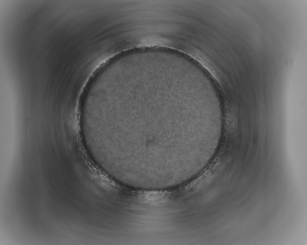 X0000113050832200909171539