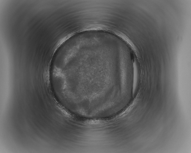 X0000113050834200909171539